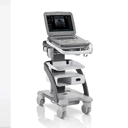 Siemens Healthineers ACUSON P500
